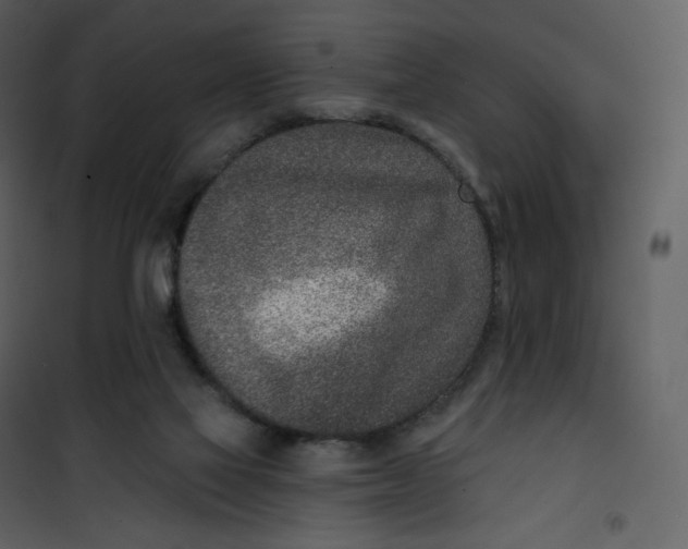 X0000101200069200807181545