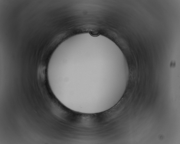 X0000101200070200807181545