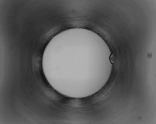 X0000101200071200807181545