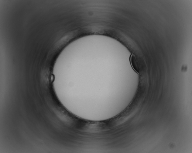 X0000101200072200807181545