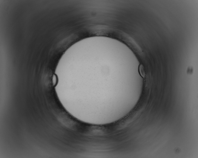 X0000101200073200807181545