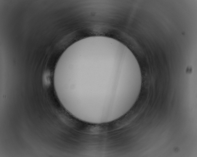 X0000101200075200807181545