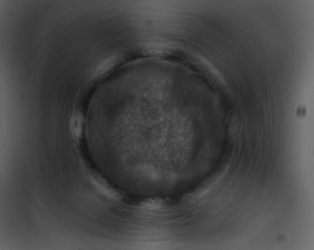 X0000101200076200807181545