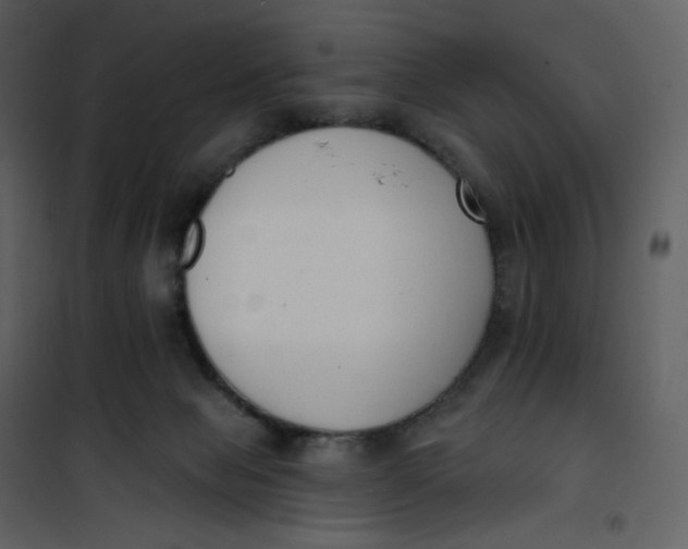 X0000101200077200807181545