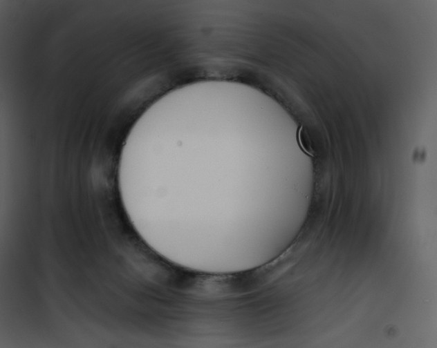 X0000101200078200807181545