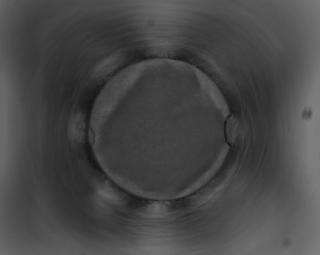 X0000101200080200807181545