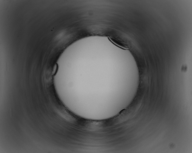 X0000101200081200807181545