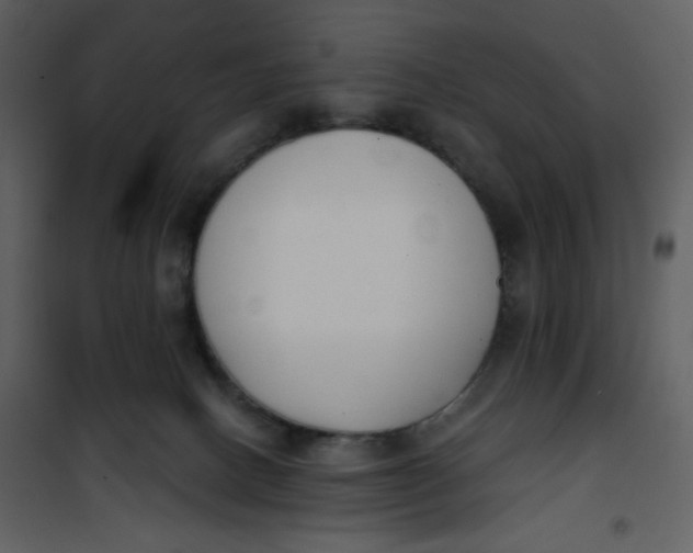 X0000101200082200807181545