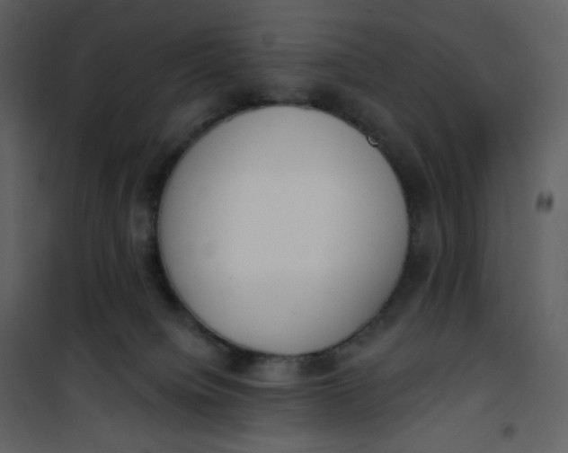 X0000101200084200807181545