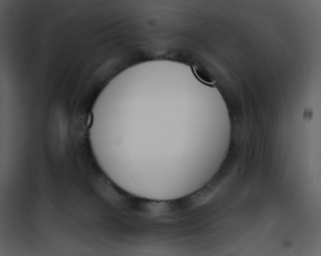 X0000101200085200807181545