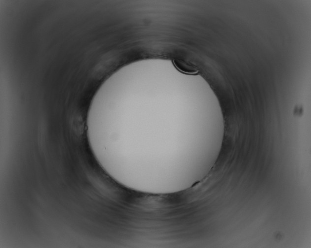 X0000101200086200807181545