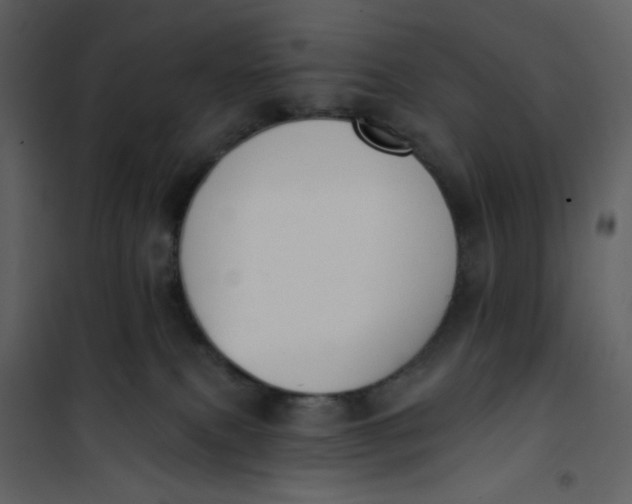 X0000101200087200807181545