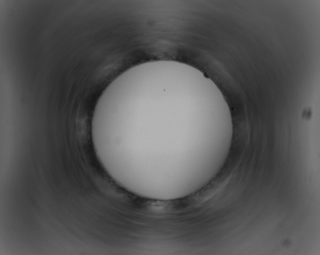 X0000101200088200807181545