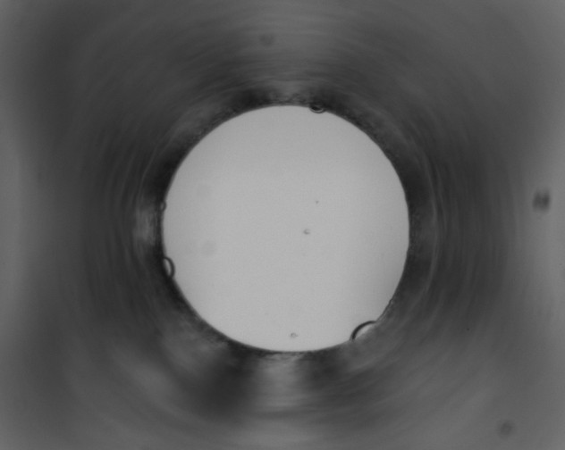 X0000101200090200807181545