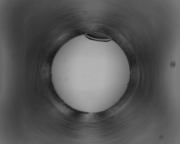 X0000101200092200807181545