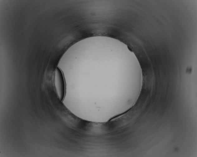 X0000101200093200807181545