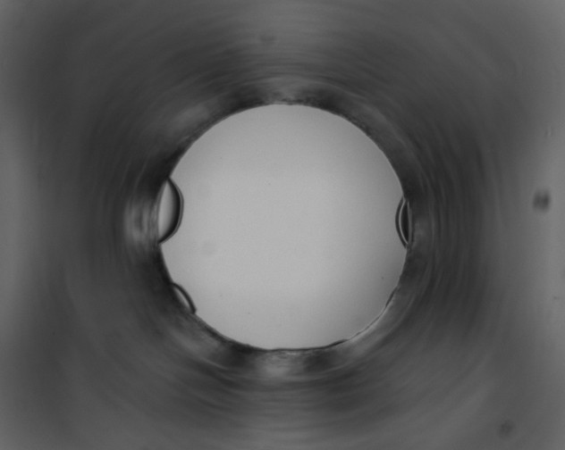 X0000101200094200807181545