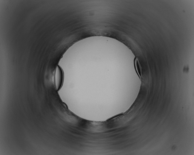 X0000101200095200807181545