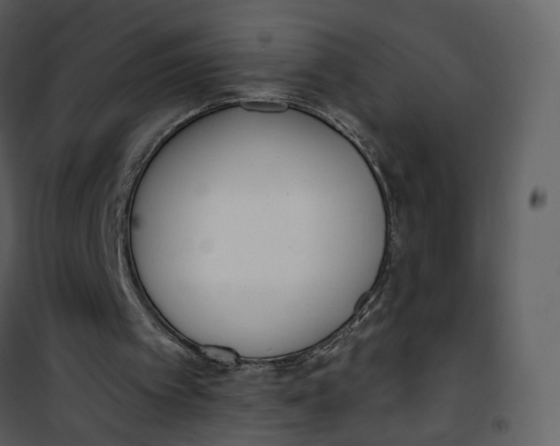 X0000101200097200807181545