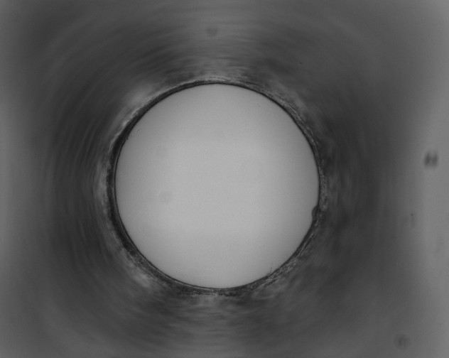 X0000101200098200807181545