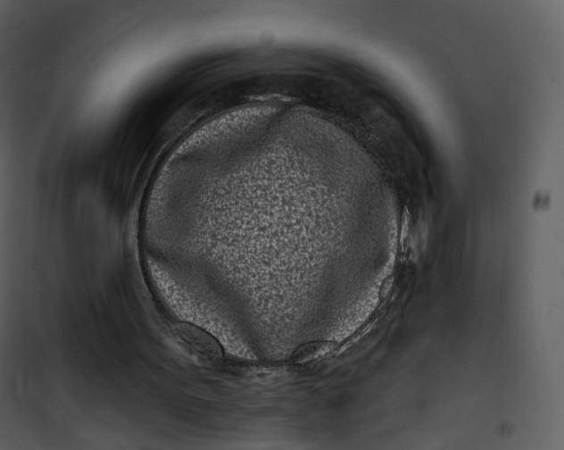 X0000101200099200807181545