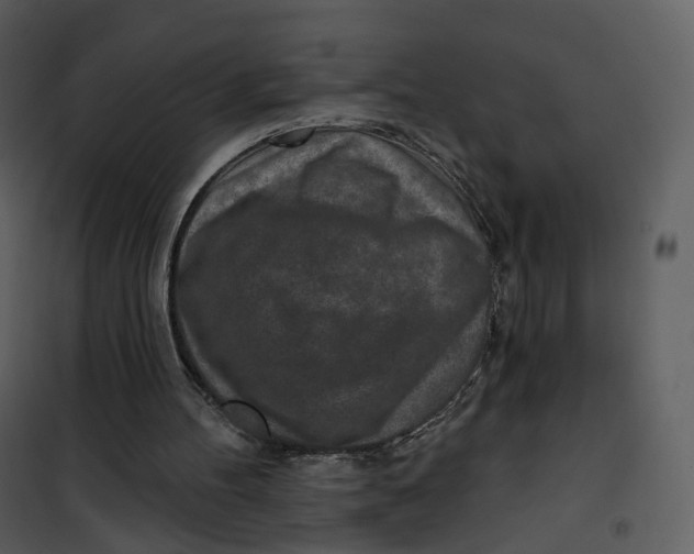 X0000101200100200807181545