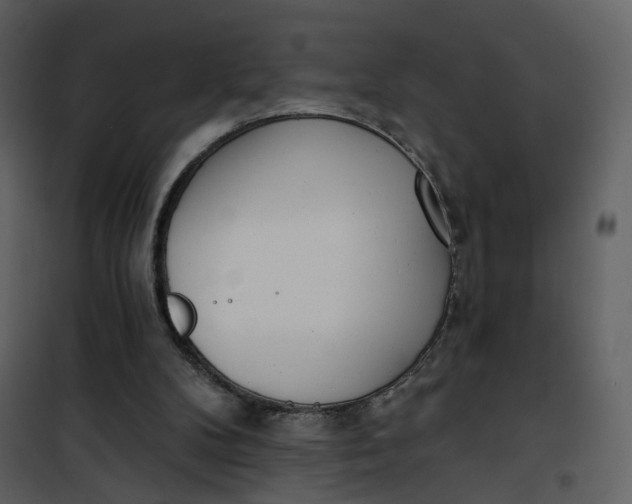 X0000101200104200807181544