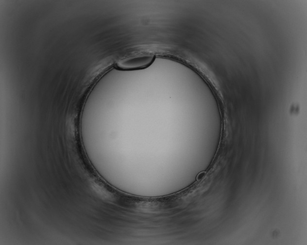 X0000101200105200807181544