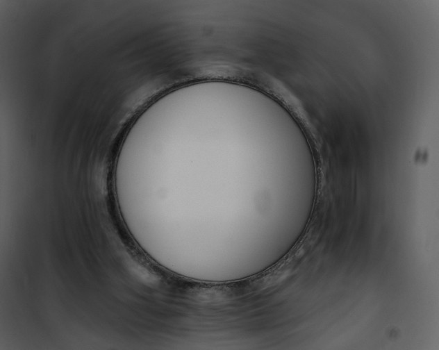 X0000101200106200807181544