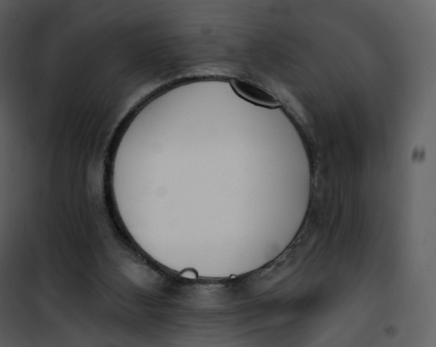 X0000101200108200807181544