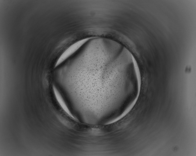 X0000101200114200807181544