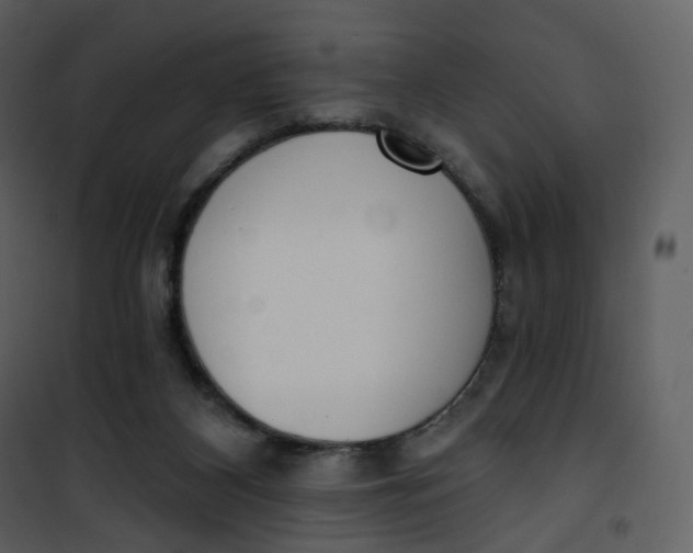 X0000101200116200807181544