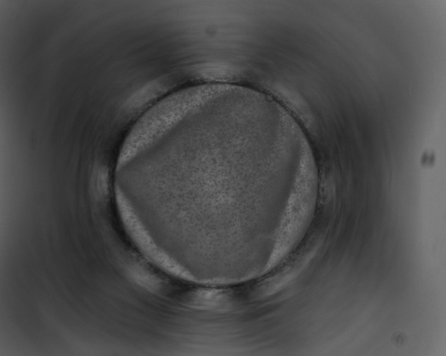 X0000101200117200807181544