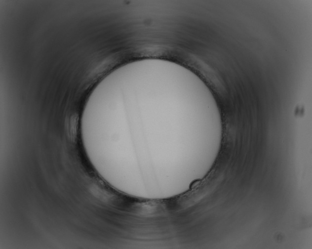 X0000101200118200807181544