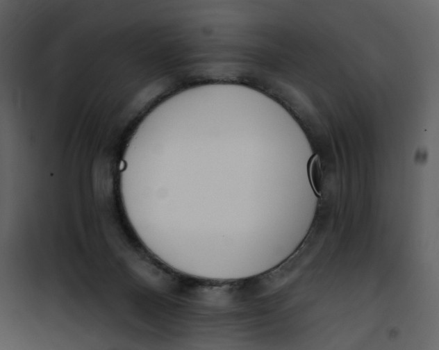 X0000101200120200807181544