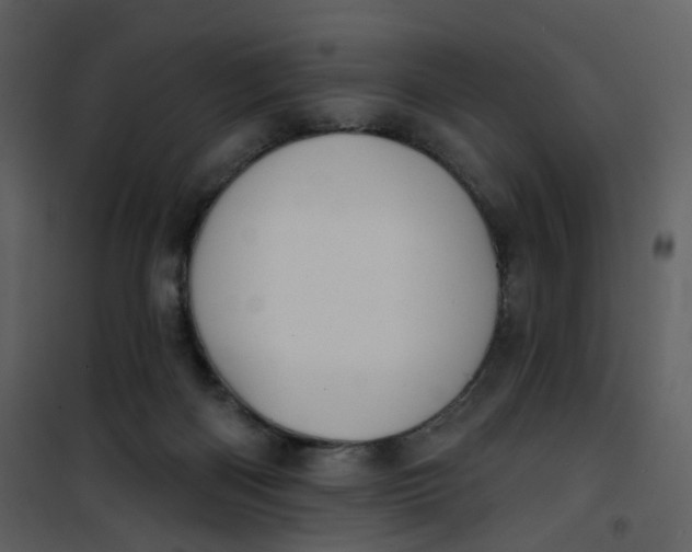 X0000101200122200807181544