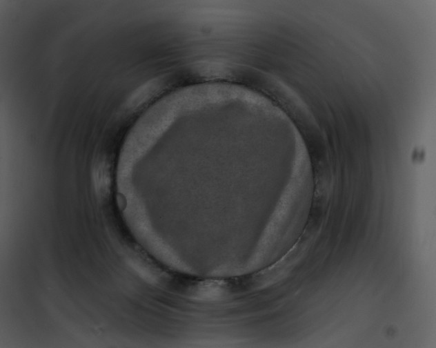 X0000101200124200807181544