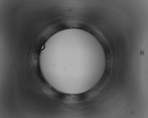 X0000101200125200807181544