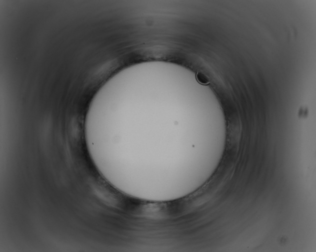 X0000101200126200807181544