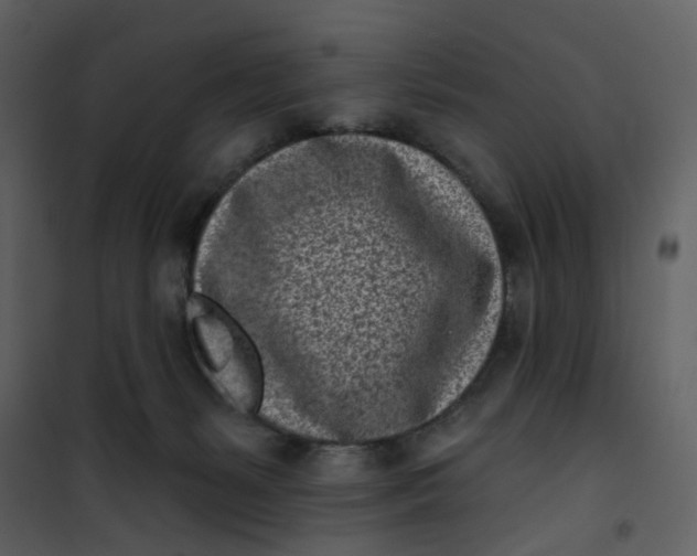 X0000101200127200807181544