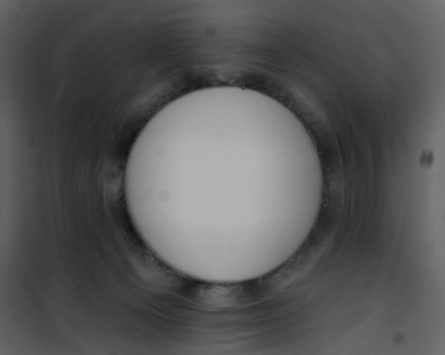 X0000101200129200807181544