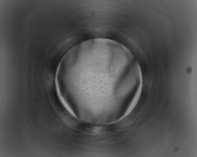 X0000101200130200807181544