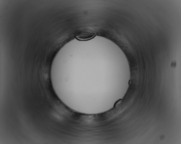 X0000101200131200807181544