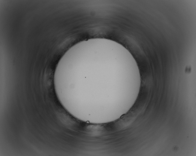 X0000101200133200807181544