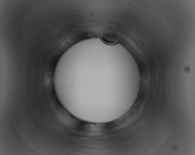 X0000101200134200807181544