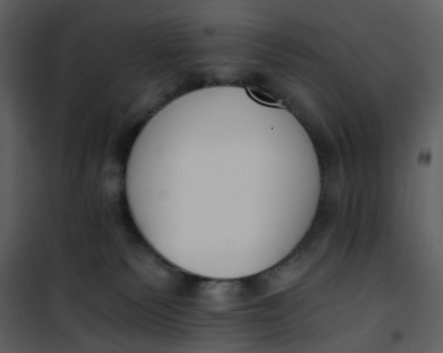 X0000101200135200807181544