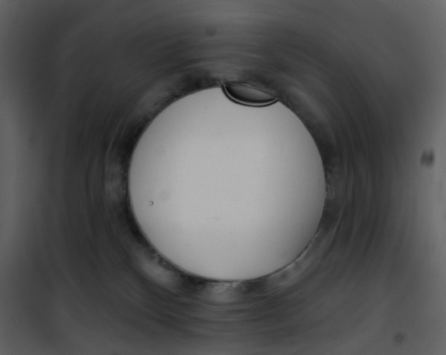 X0000101200136200807181544