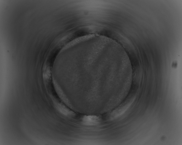 X0000101200137200807181544