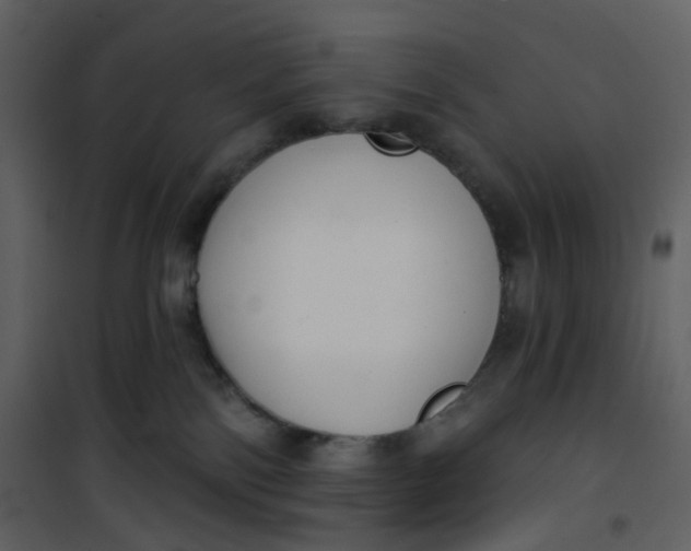 X0000101200138200807181544