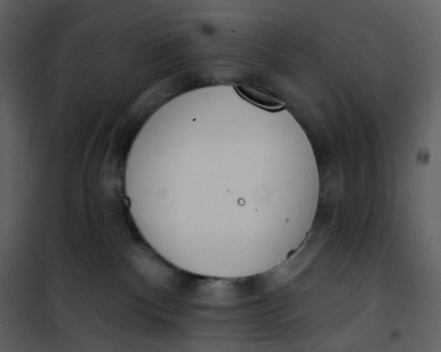 X0000101200140200807181544